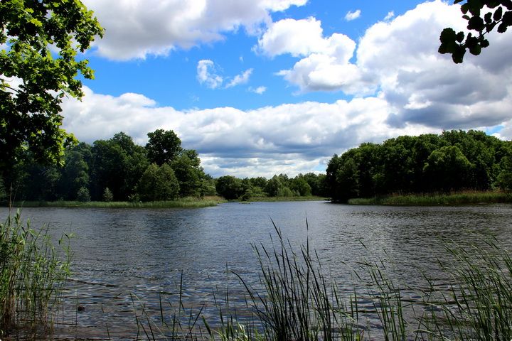 Воронеж, река