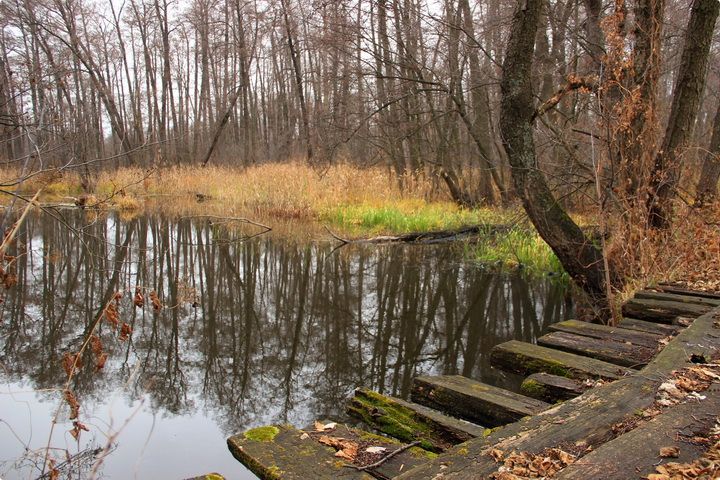 Ивница, река