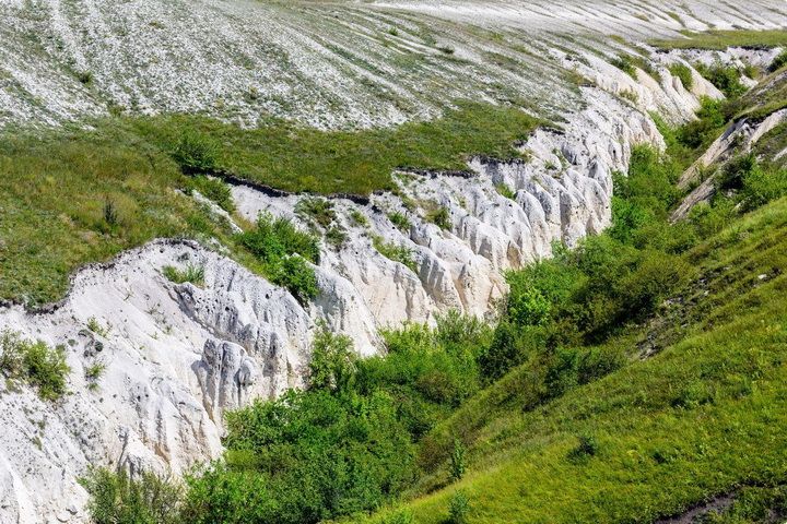 Ландшафт Воронежской области