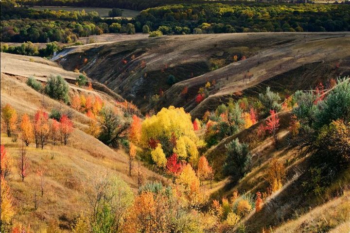 Ландшафтная карта Воронежской области
