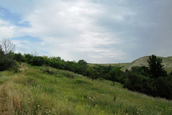 Ландшафт лесостепной