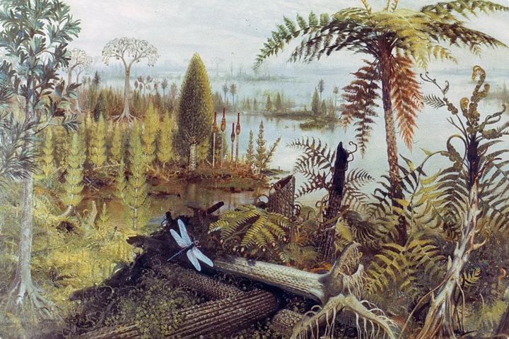Палеозойская эра