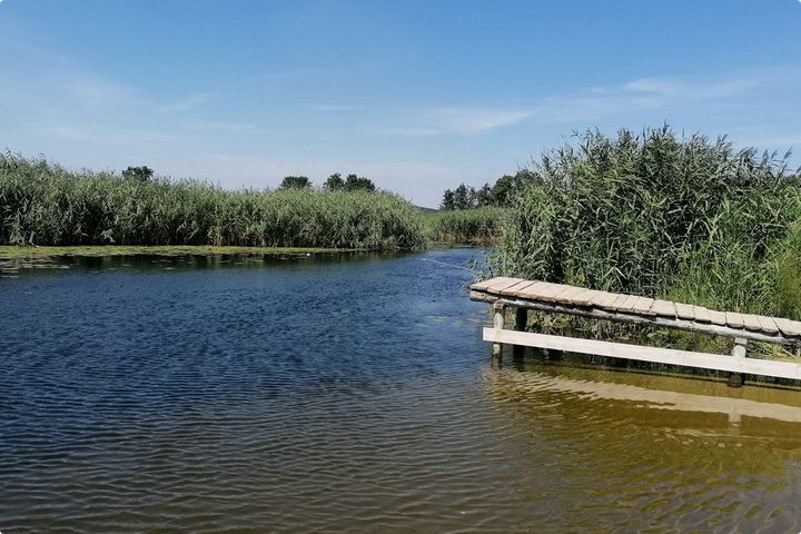 Савала, река