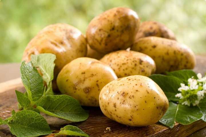Картофель